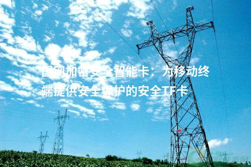 國網(wǎng)加密安全智能卡：為移動(dòng)終端提供安全保護(hù)的安全TF卡