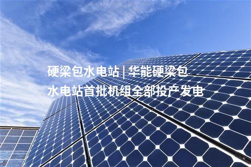硬梁包水電站 | 華能硬梁包水電站首批機組全部投產發電