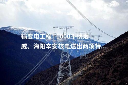 輸變電工程 | 1000千伏煙威、海陽(yáng)辛安核電送出兩項(xiàng)特高壓工程獲得核準(zhǔn)