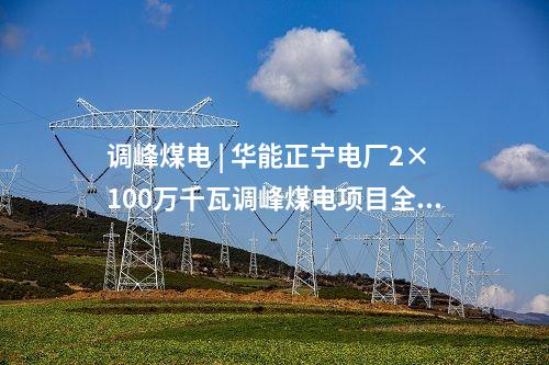 垃圾發電項目 | 700噸/日！百色市生活垃圾焚燒發電項目環評報批前公示