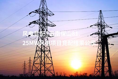 風電競配 | 云南保山81.25MW風電項目競配結果公示