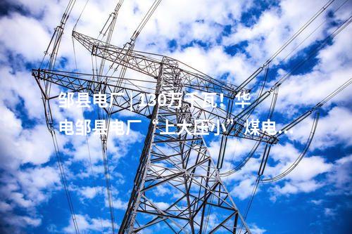 鄒縣電廠 | 130萬千瓦！華電鄒縣電廠“上大壓小”煤電項目主機選型方案討論會召開