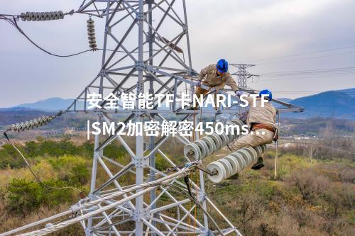 安全智能TF卡NARI-STF|SM2加密解密450ms/次、260ms/次