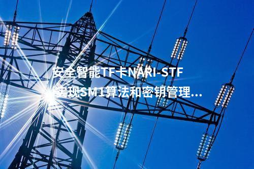 安全智能TF卡NARI-STF|實現SM1算法和密鑰管理功能