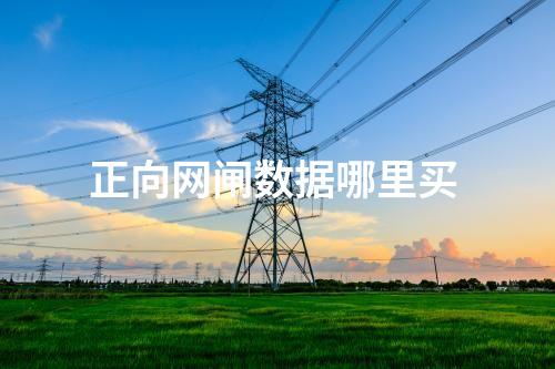 正向網閘數據哪里買 