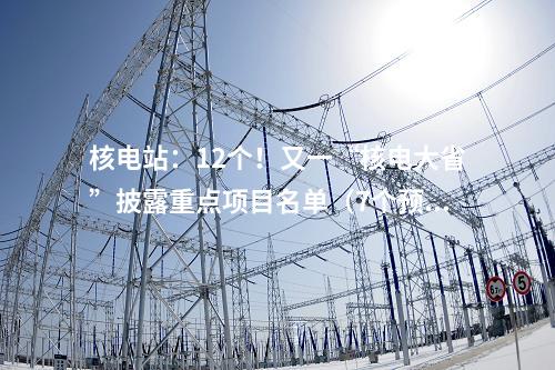 核電站：12個！又一“核電大省”披露重點項目名單（7個預備項目）